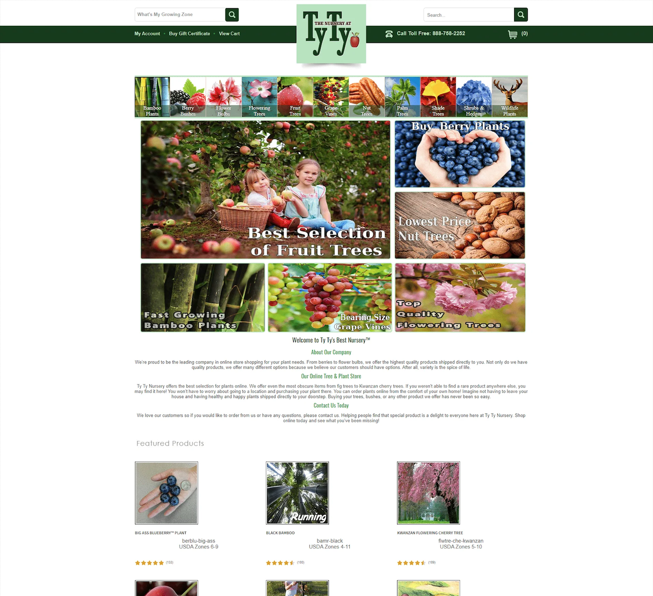 Home Screenshot 2026 02 24 At 03.40.22 E1771904702571